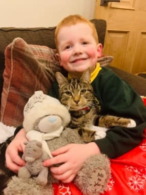 Happy cat that has been re-homed by Yorkshire Cat Rescue