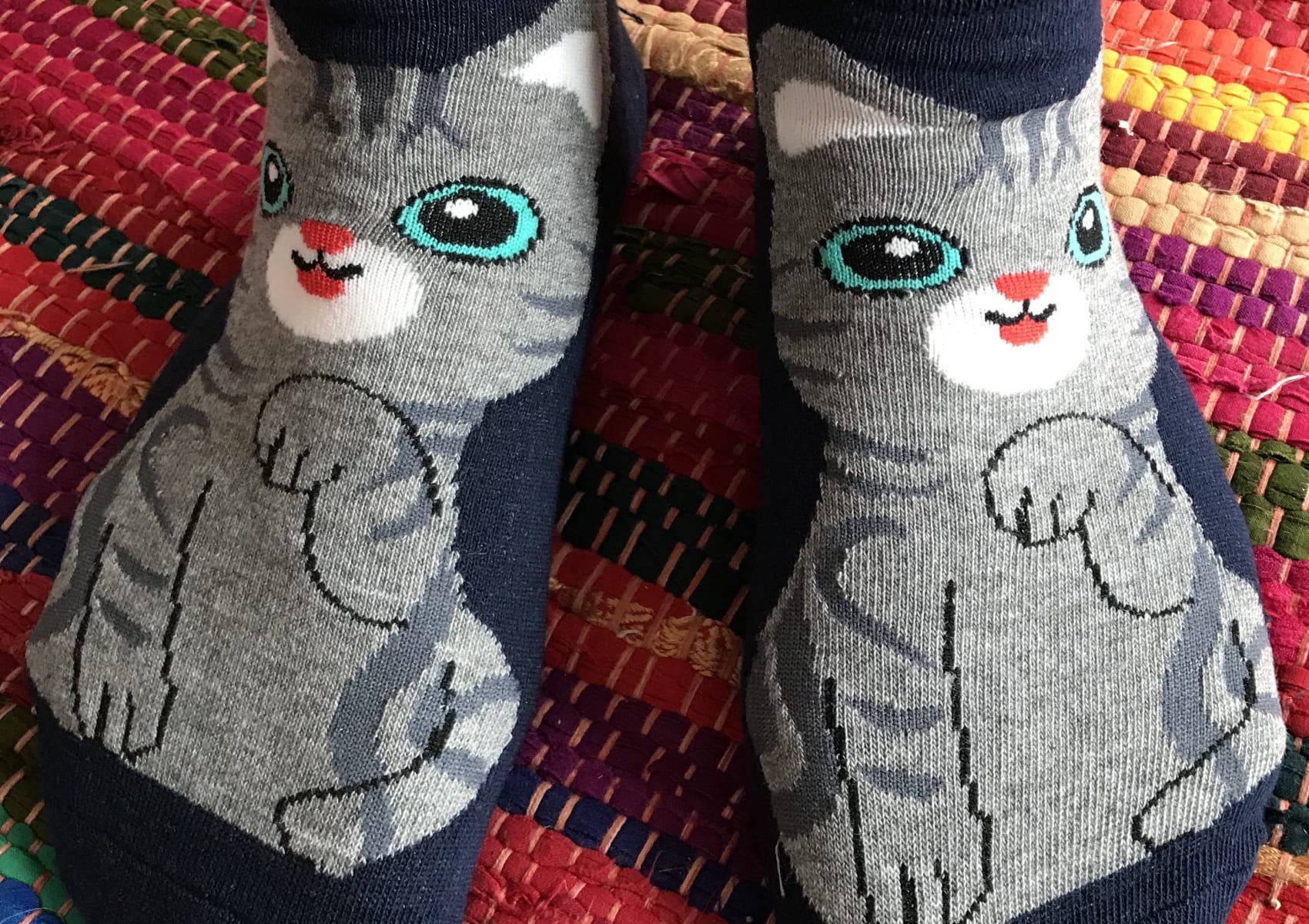 Ladies' dark blue ankle socks with grey American shorthair cat