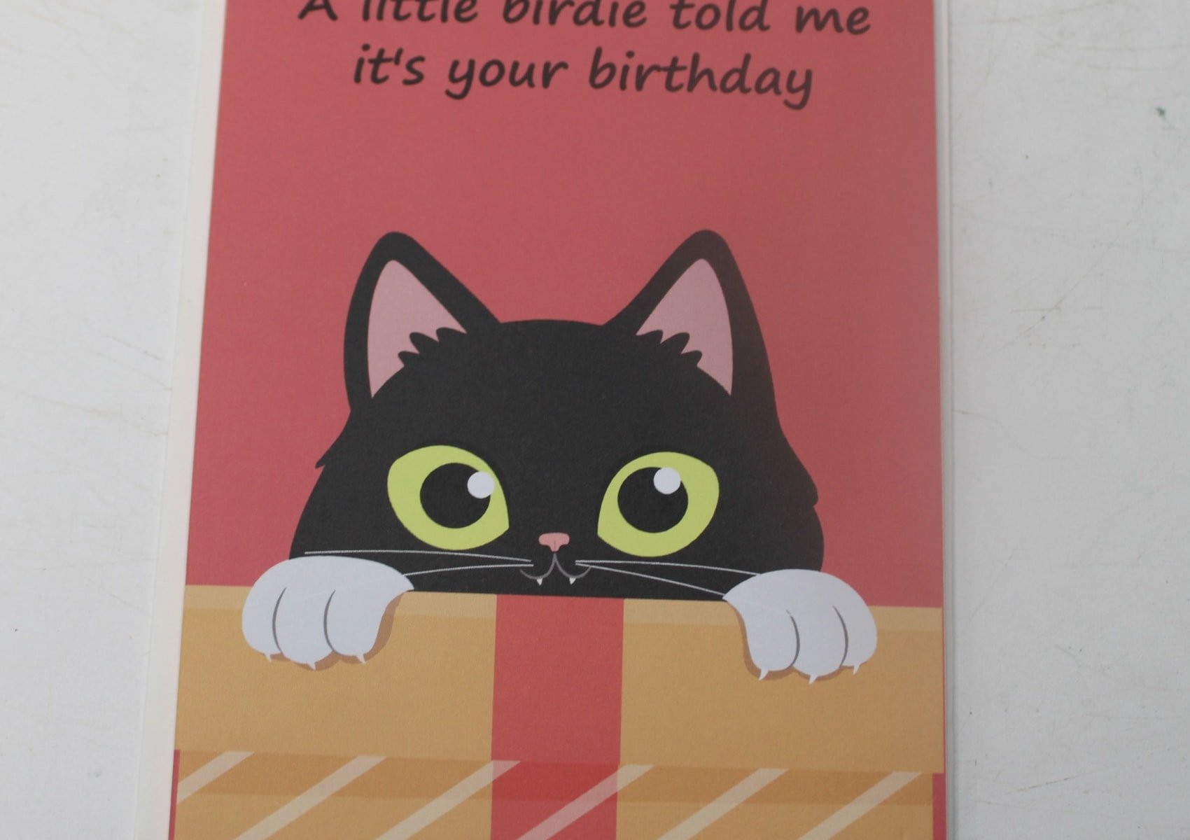 Amusing Cat Birthday Card With Pop Up  Tuxedo Cat Inside