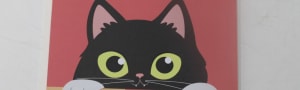 Amusing Cat Birthday Card With Pop Up  Tuxedo Cat Inside