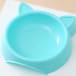Blue plastic cat food bowl on sale at Yorkshire Cat Rescue