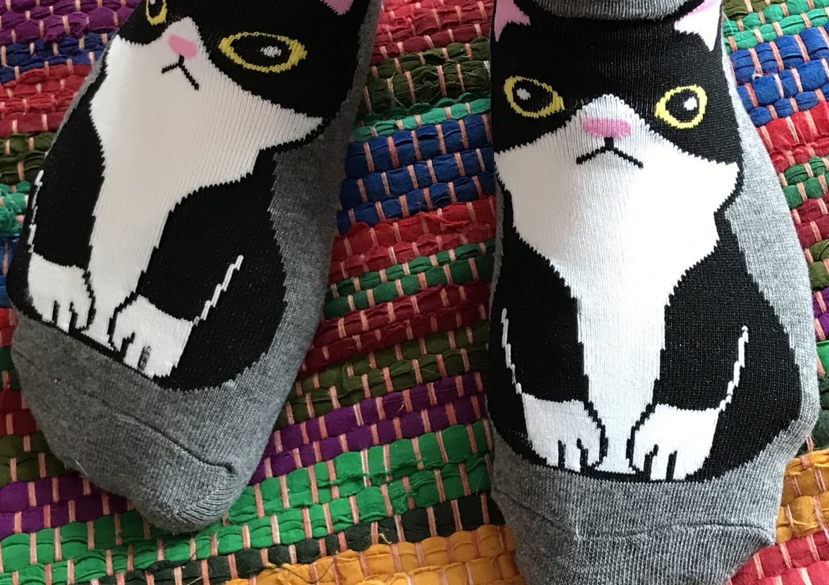 Ladies' dark grey ankle socks with black and white tuxedo cat
