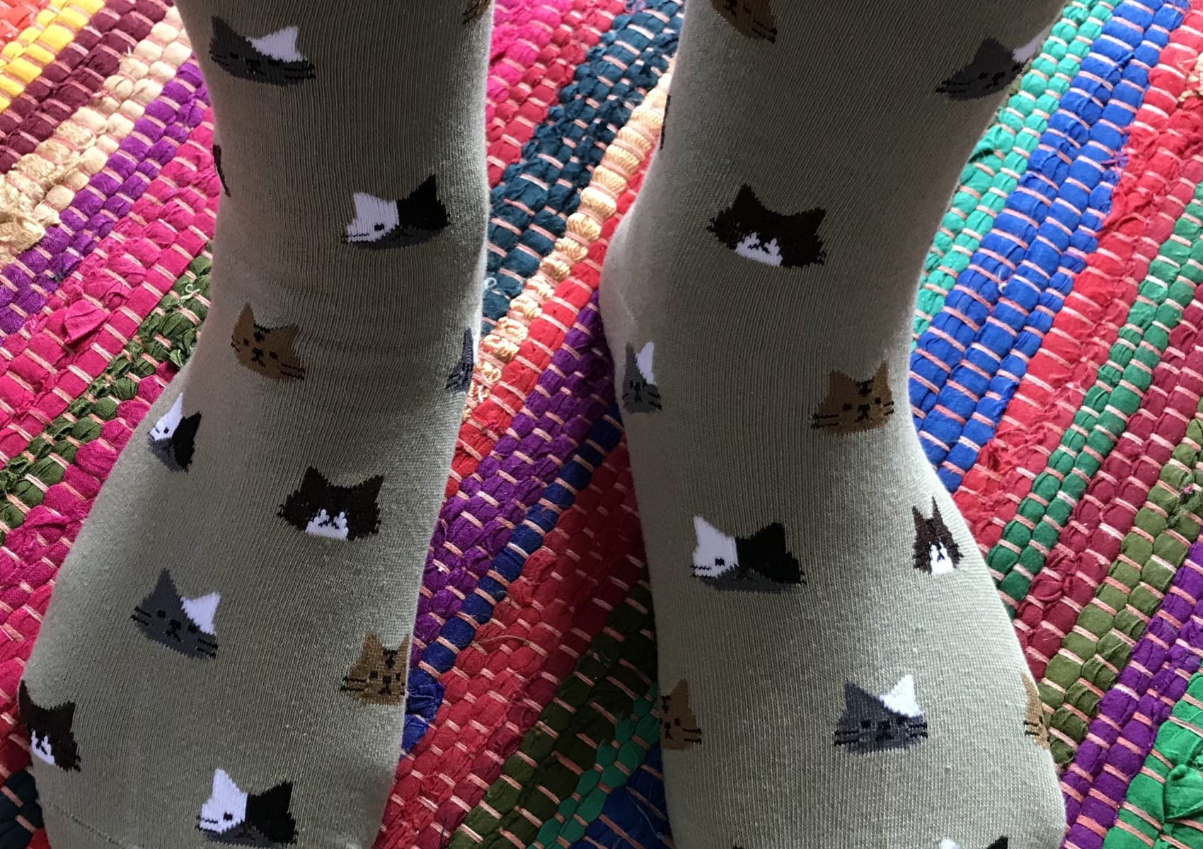 Olive green ladies' short sock with cat heads