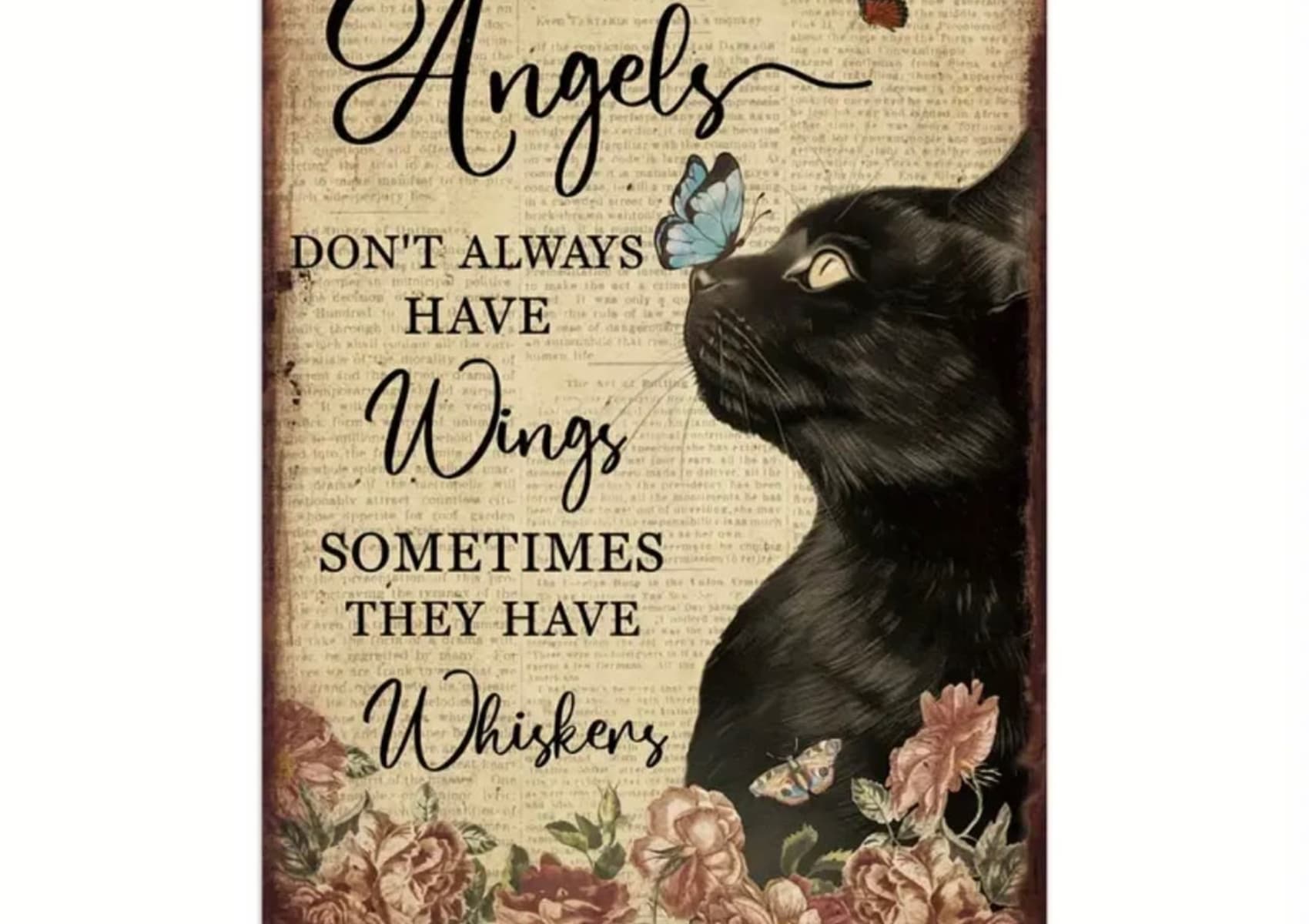 Sign for a passed cat angels on sale at Yorkshire Cat Rescue