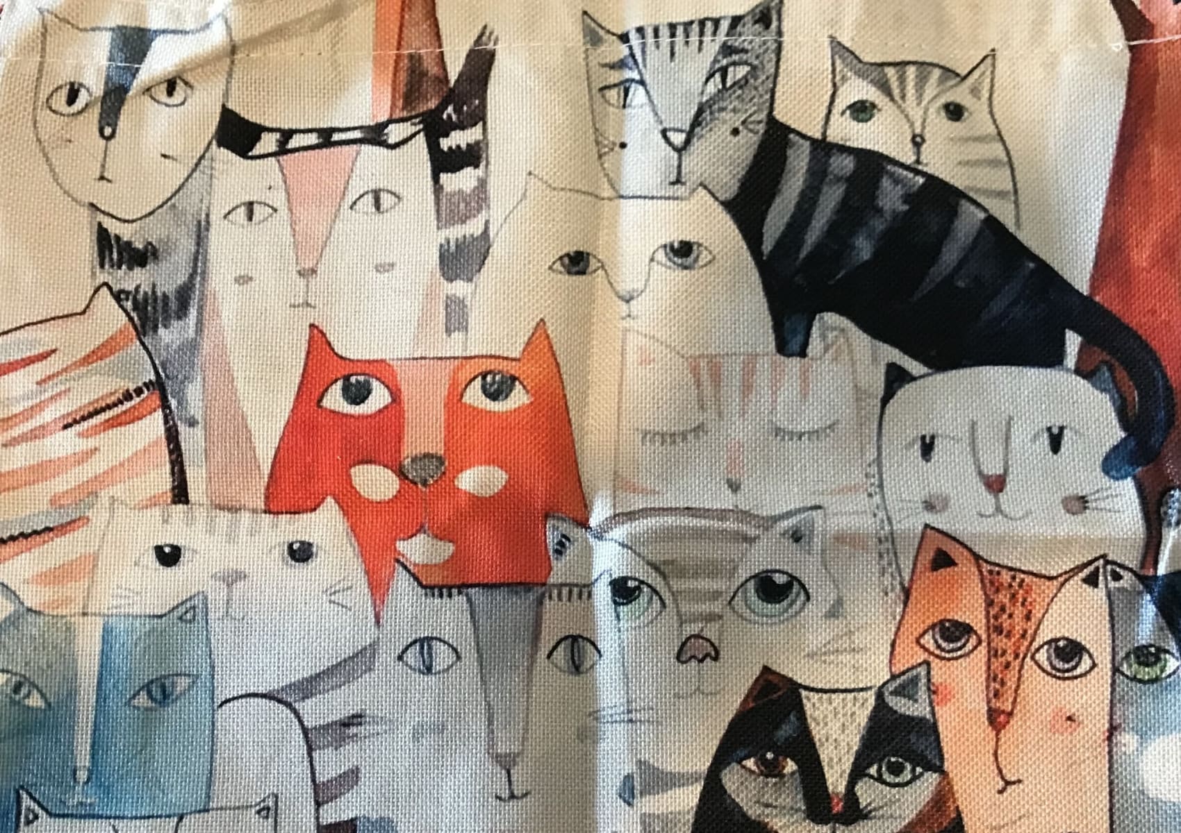 Multiple coloured cats on a bag for sale at Yorkshire Cat Rescue