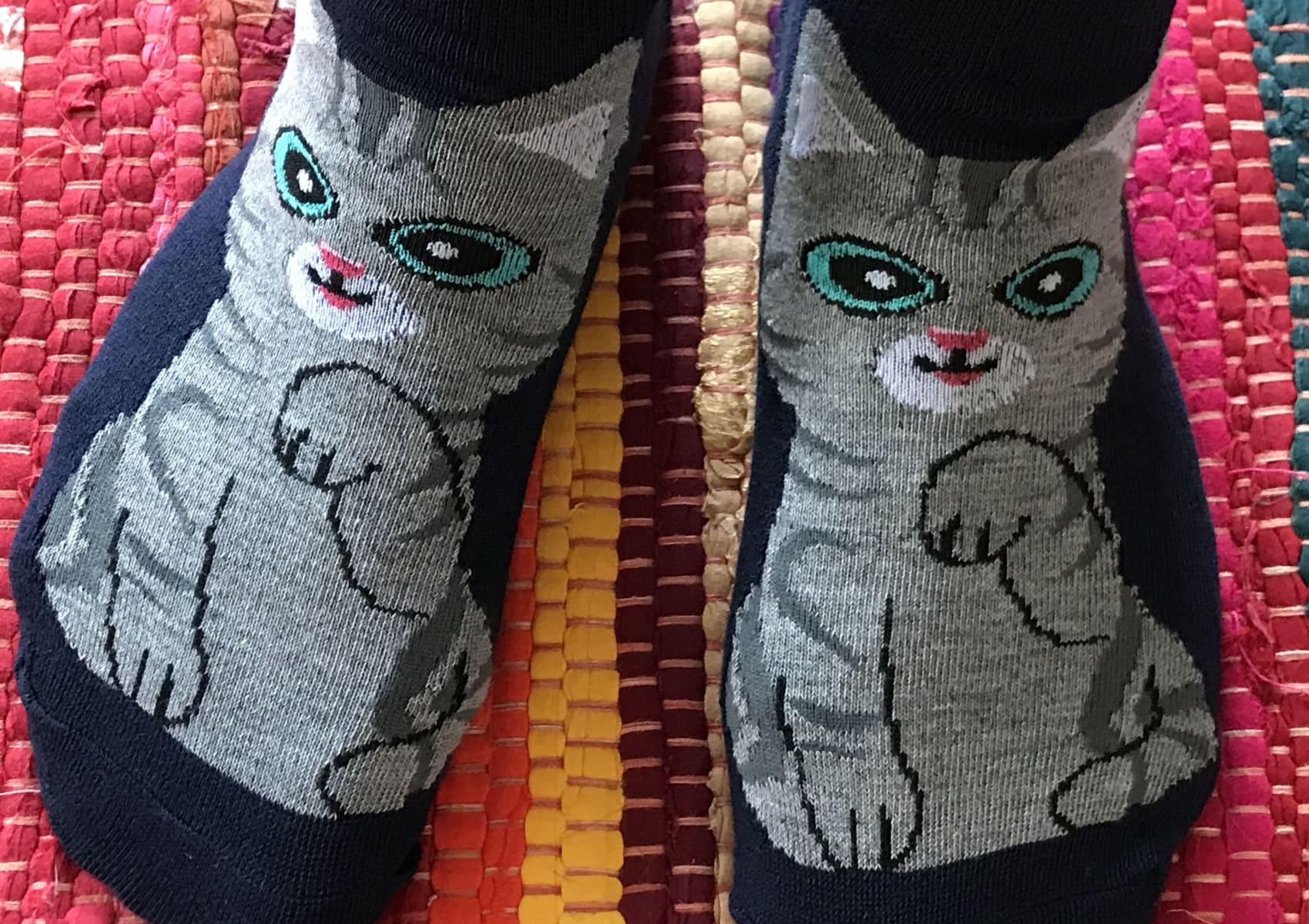 Ladies' dark blue ankle socks with grey American shorthair cat