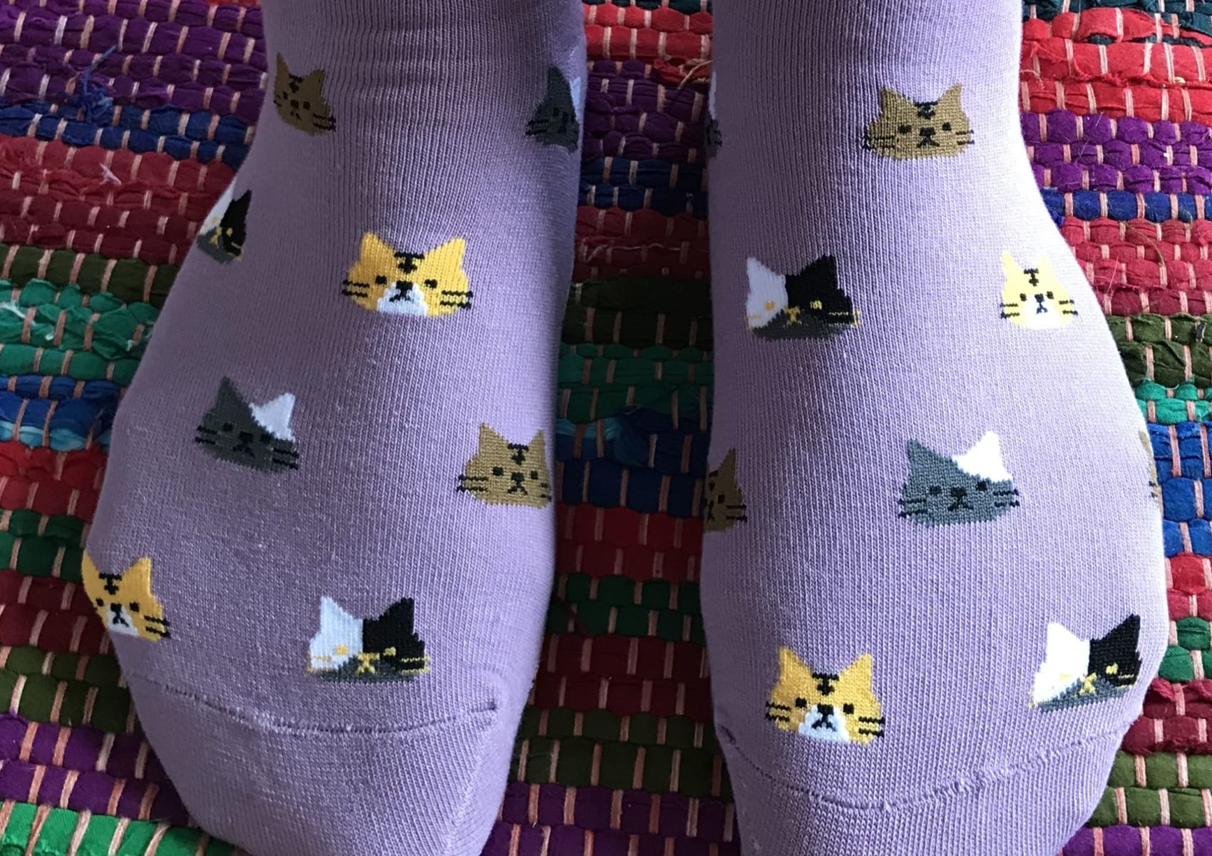 Plum ladies' short sock with cat heads