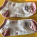 Pair of cat coloured socks for sale at Yorkshire Cat Rescue