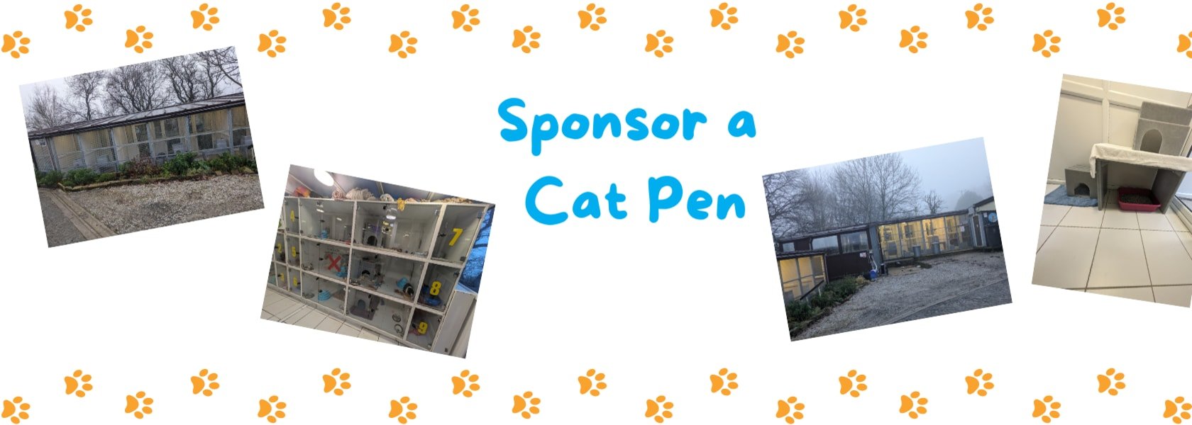 Cat Pen Sponsorship
