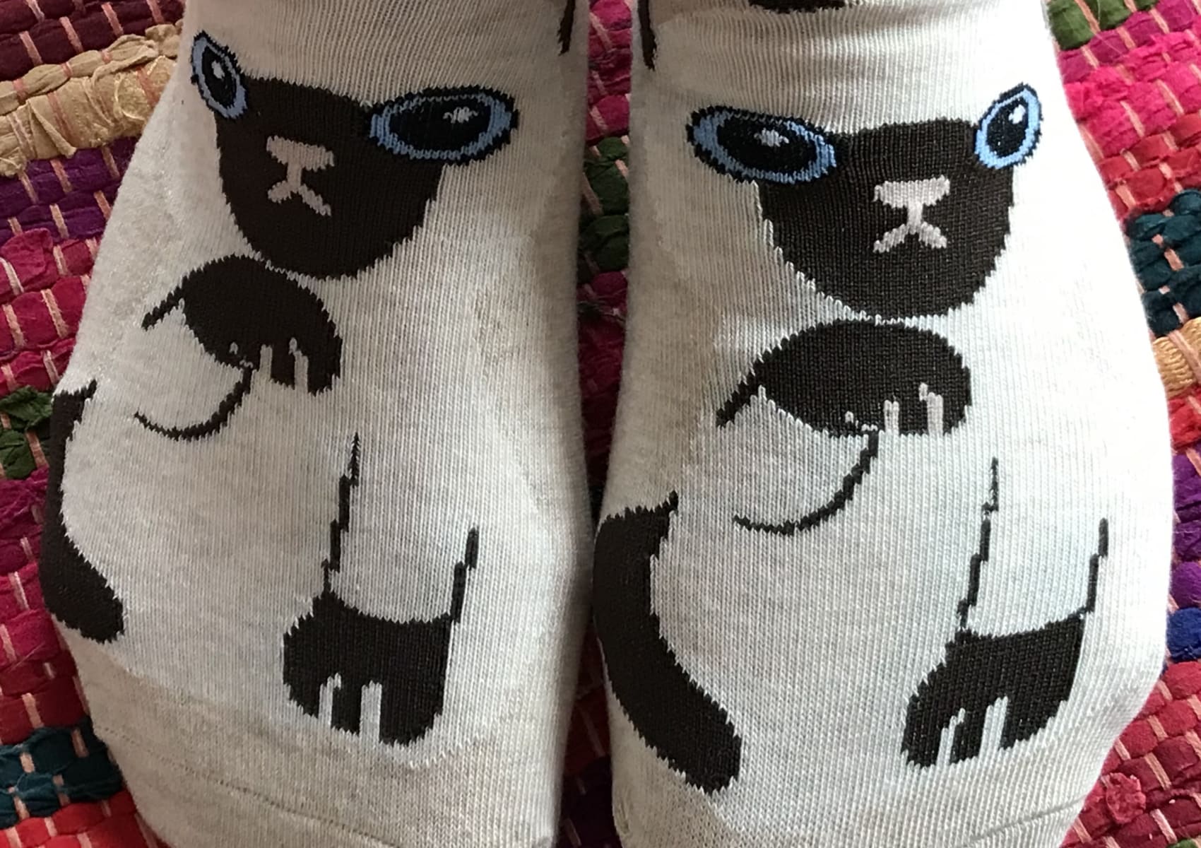 Ladies' beige ankle socks with Siamese cat