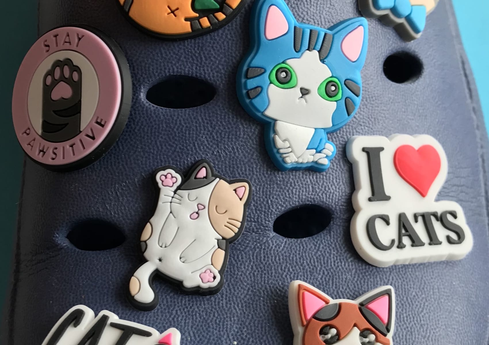 Cat charms for crocs on sale at Yorkshire Cat Rescue