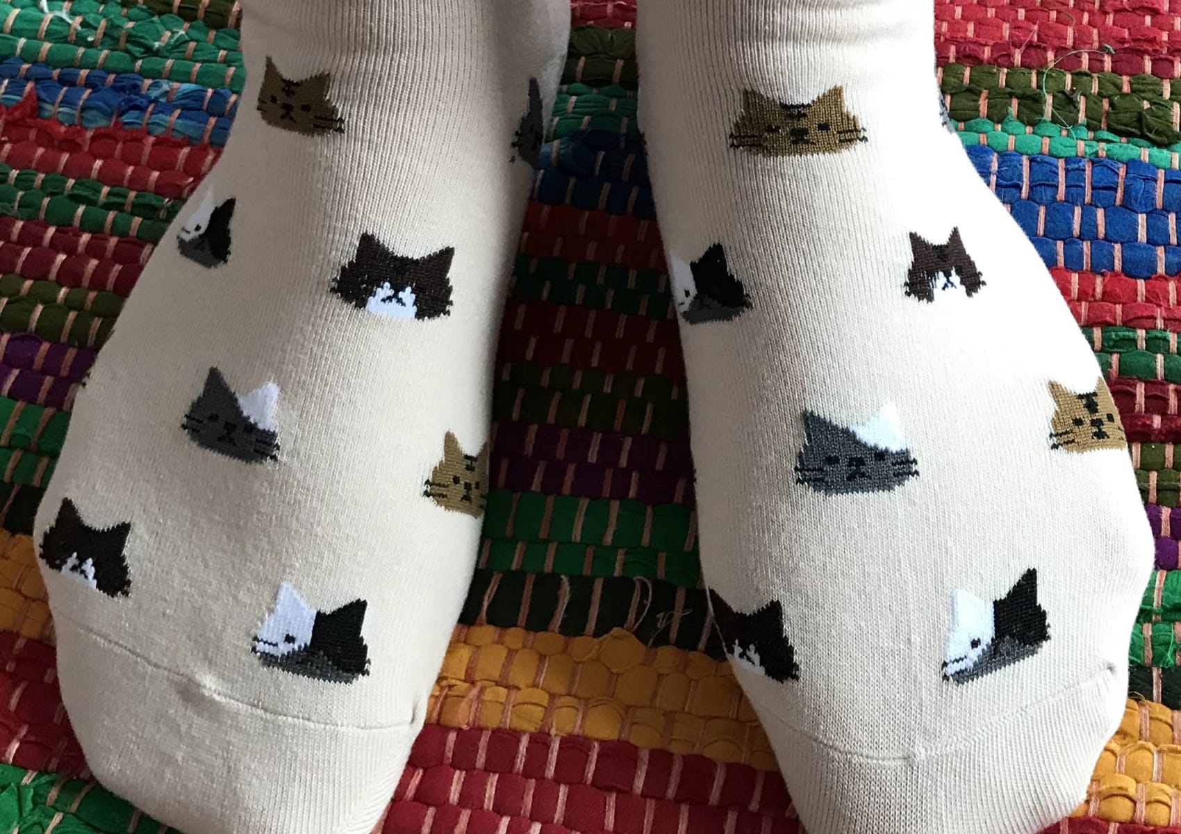 Almond ladies' short sock with cat heads